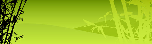 lucan Acupuncture